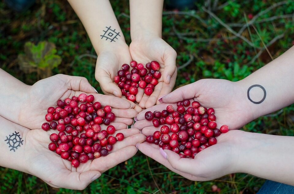 Cranberry за потентност