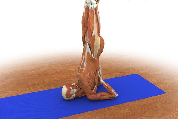 Упражнение за потентност Бреза